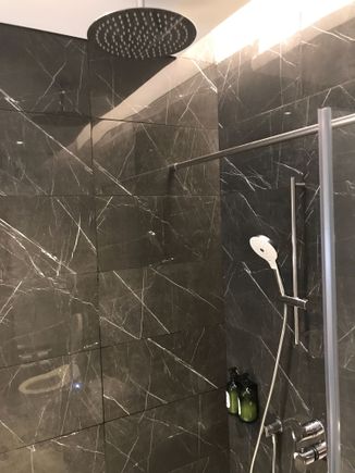 Rainforest + handheld shower