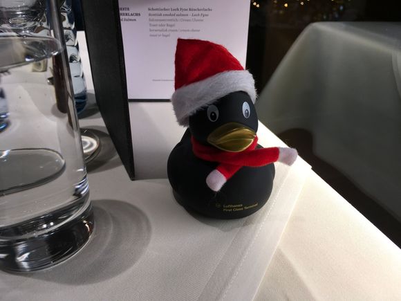 FCT Christmas Duck today 