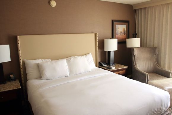 Standard room, Hilton Eugene