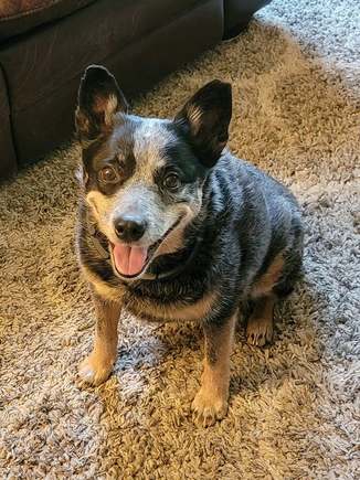 Husker celebrates birthday number 11