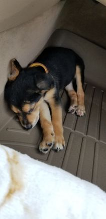 I'm tired after a 20 hour trip from AL