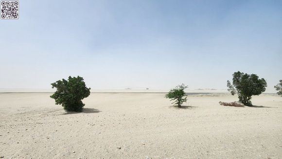 Sand