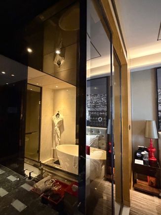 See-through window and sliding door