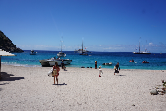 Shell Beach