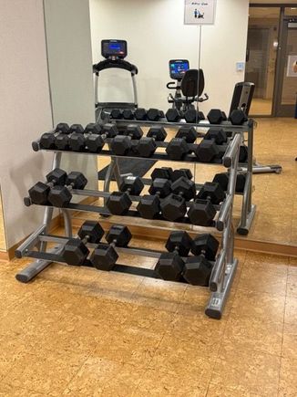 Random smattering of dumbbells