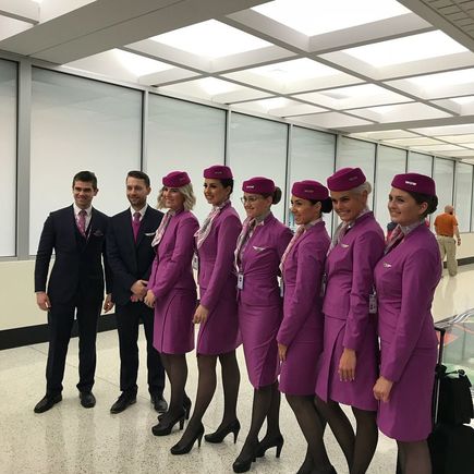 Flight attendants from both arriving and departing flights.
