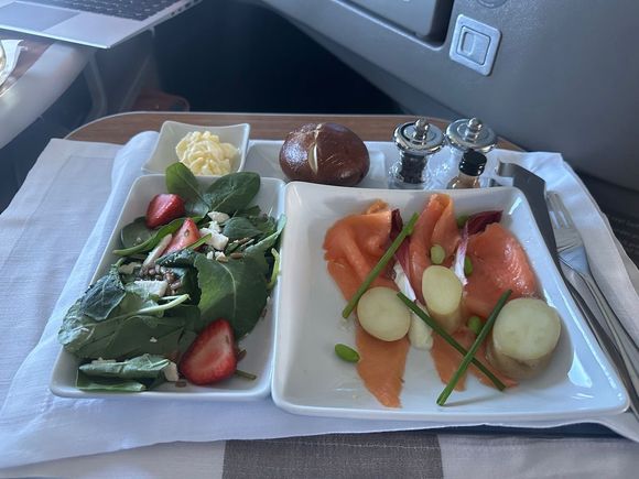 The salmon app was very similar to a meal I had on Air Canada BOS-YYZ a few years back. Quite filling. 