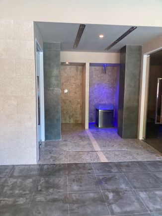 Steam room, sauna, rain shower, and pebble ice machine