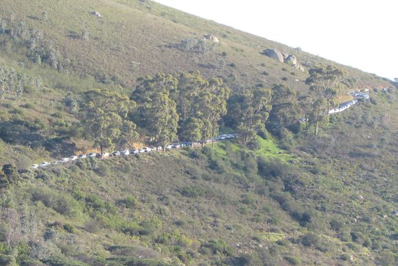 Cars parked for the Lion's Head trail(s)