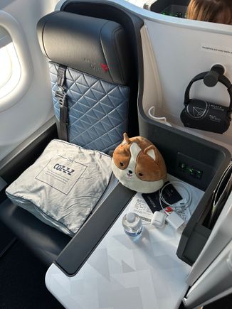 D1 pillow and cover, I did see FT this was hit or miss if I read right. My bag was actually torn at the seam but otherwise fine (can’t see it as it’s between seat and table). 