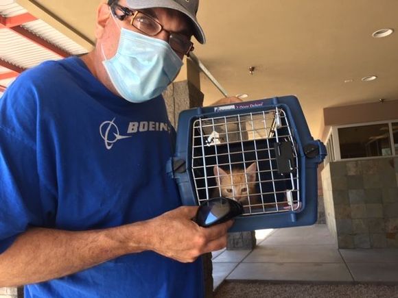 We picking her up from the vet today. 