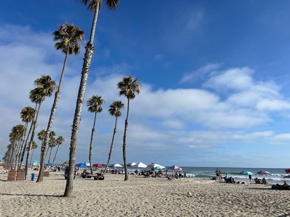 Oceanside beach
