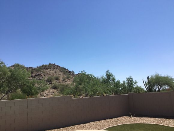 Arizona sunshine!