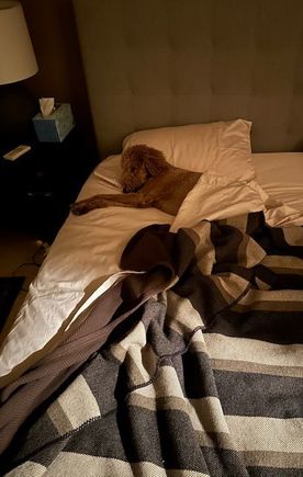 Who’s been sleeping in my bed!