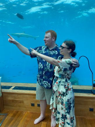 Silly pose trying to point to a shark