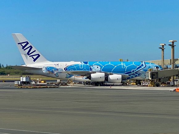 ANA/Flying Honu HNL-NRT