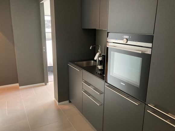 Kitchen: like the penthouse suite comes with 2x electric stove, oven / microwave combi, large fridge & freezer