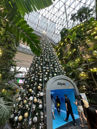 Alipay Tree