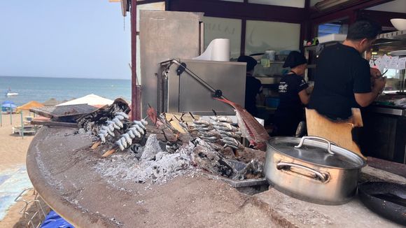 Wood fired sardines along the beach
