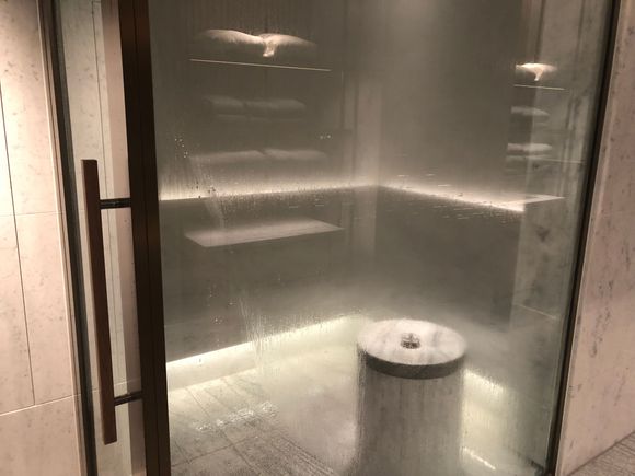 Aroma scented steam sauna