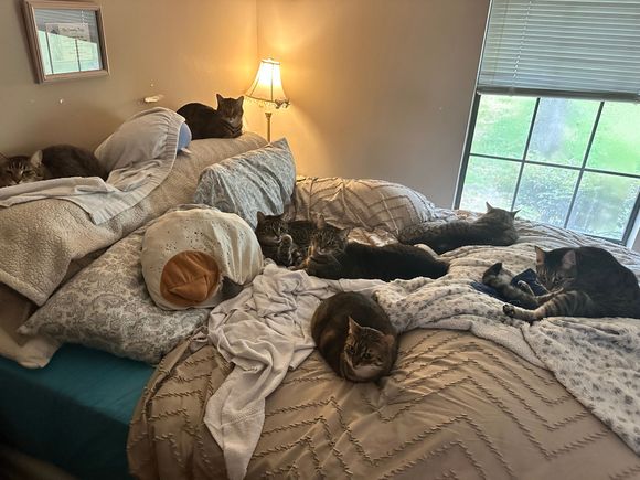 My lazy coworkers today 