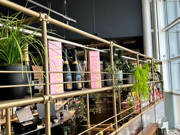 Bar back