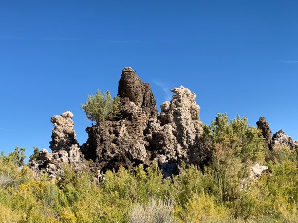 Inland Tufa indicating how high the lake used to be. 