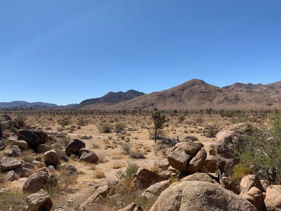 Upper desert hike. Joshua Trees in the distance 