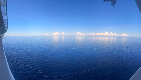 My morning view 