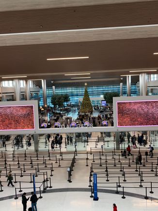 Security and Christmas Tree 