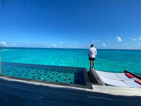 View from OWV Suite w/pool 103