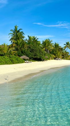 Beach & Restaurant