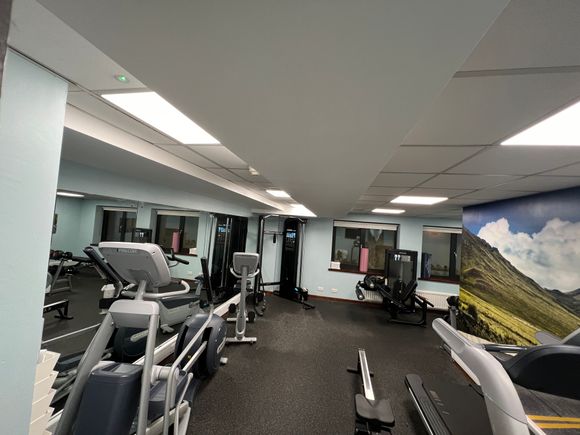 Gym in the basement. Both machine and free weights