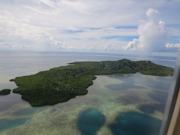 Approach to PNI