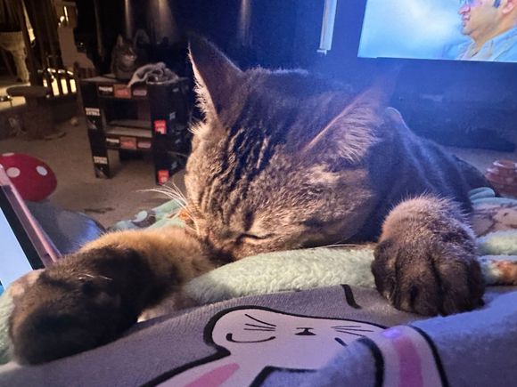 I’ve been under the weather the last couple of days.  Thankfully my nurse has been at my side the entire time.  