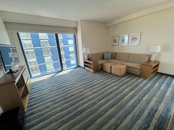 1BR Suite: living room 