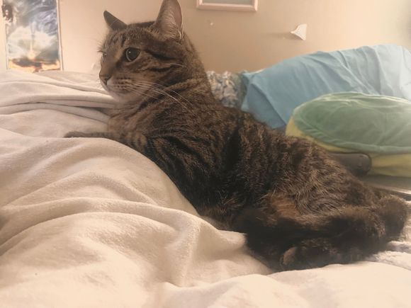 Fred has tonight’s nursing shift.  
