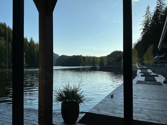 Evening view