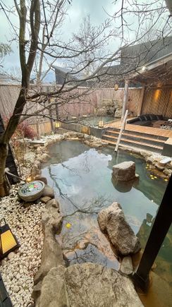 View of the backyard from walkway
