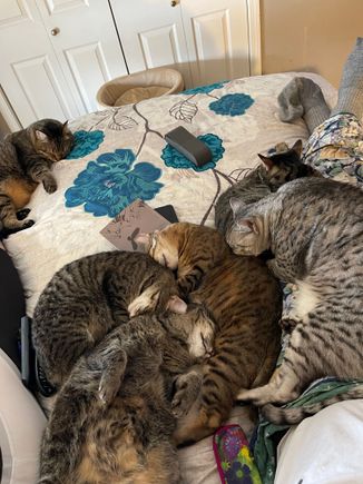 Snow day pile up at our house.