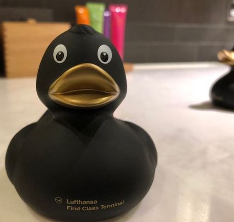 FCL Duckie