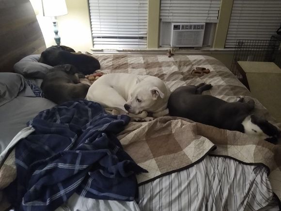 They left me a sliver of bed. 