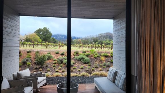 Vineyard view from room 312