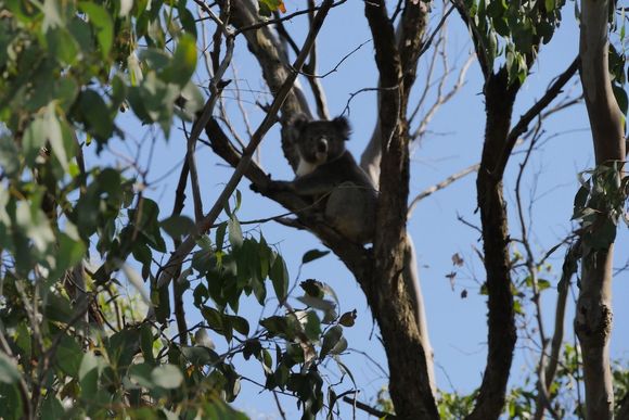 Last encounter before going back to Melbourne