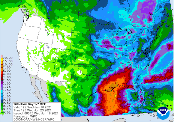 7 day US Rainfall forecast