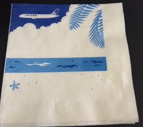 napkin3