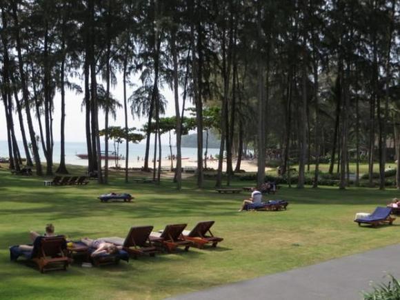 Grassy knoll between pool and beach