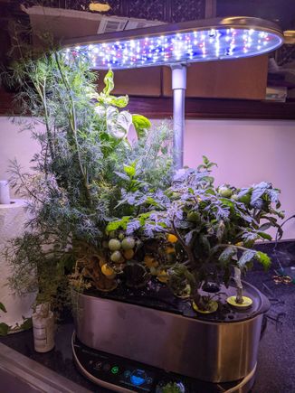 Next time I'll do plants that are all of uniform height.