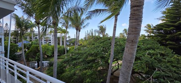 View from the balcony back to the hotel