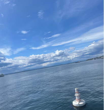 Elliot Bay